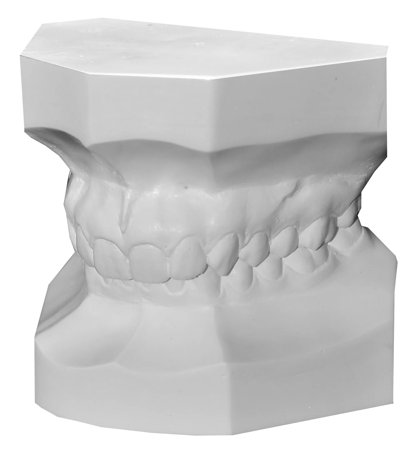 Modelo de estudio del material de MaxiDental