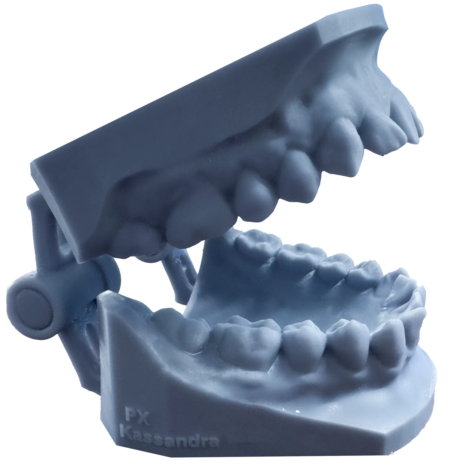 Modelos de resina del material original de MaxiDental